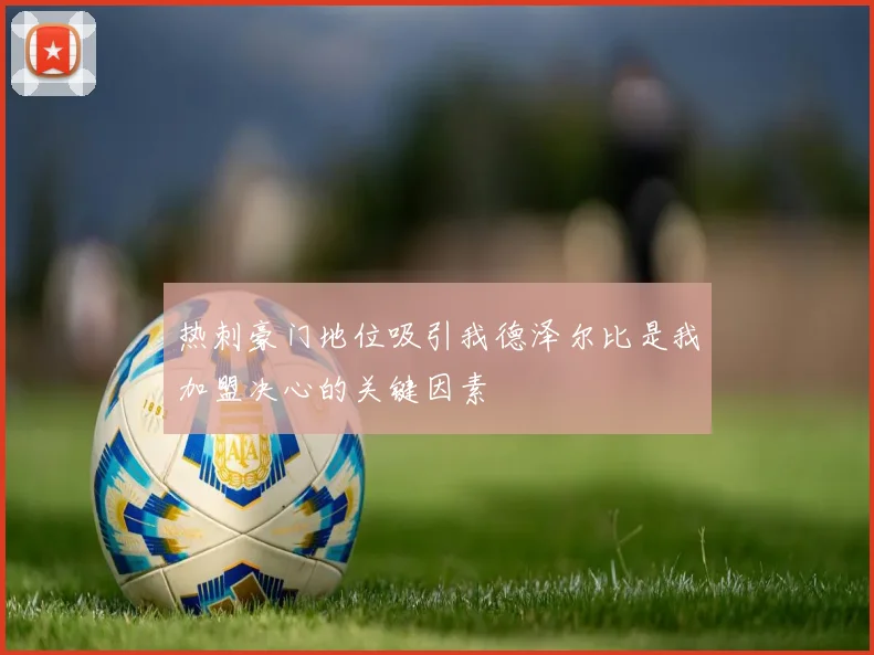 热刺豪门地位吸引我德泽尔比是我加盟决心的关键因素